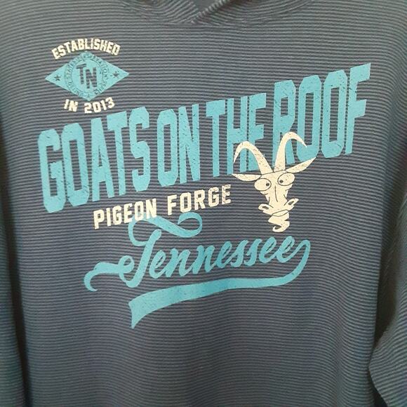 Pigeon Forge Tennessee Hoodie Mens L Blue Goats On The Roof Striped - Picture 2 of 8